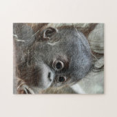 Puzzle de singe de bébé (Horizontal)