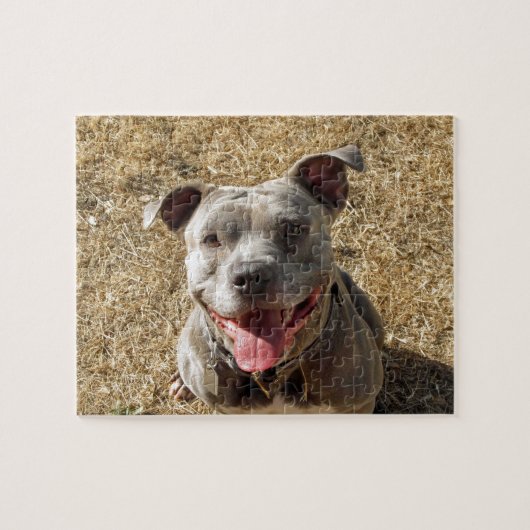 Puzzle de sourire de Pitbull (Horizontal)