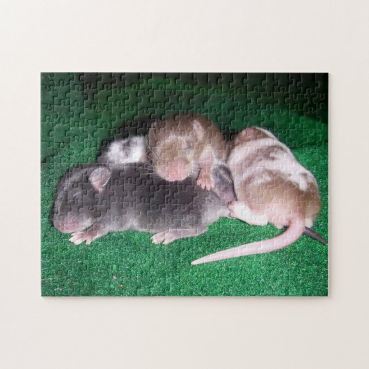 Puzzle de souris : 4 souris de bébé (Horizontal)