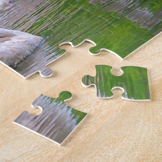 Puzzle de Swan (Côté)