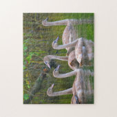 Puzzle de Swan (Vertical)