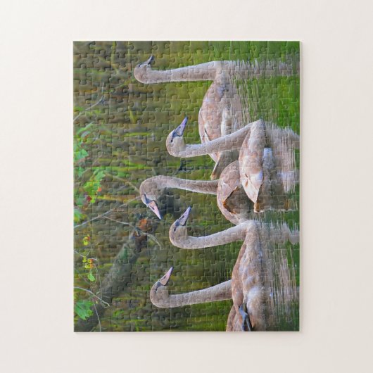 Puzzle de Swan (Vertical)