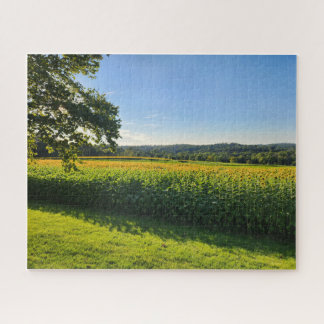 Puzzle de terrain de tournesol