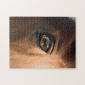 Puzzle de tête des chevaux/puzzle de jigsaw (Horizontal)