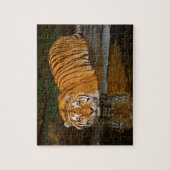 Puzzle de tigre (Vertical)