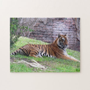 Puzzle de Tigre au Bengale
