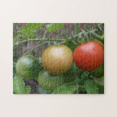 Puzzle de tomates de feux de circulation (Horizontal)