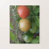 Puzzle de tomates de feux de circulation (Vertical)