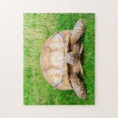 Puzzle de Tortue (Vertical)
