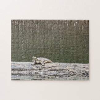 Puzzle de Tortue de Étang