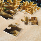 Puzzle de Tortue de Mer (Côté)