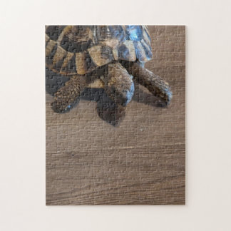 Puzzle de tortue en gros plan