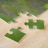 Puzzle de tortues alignées (Côté)