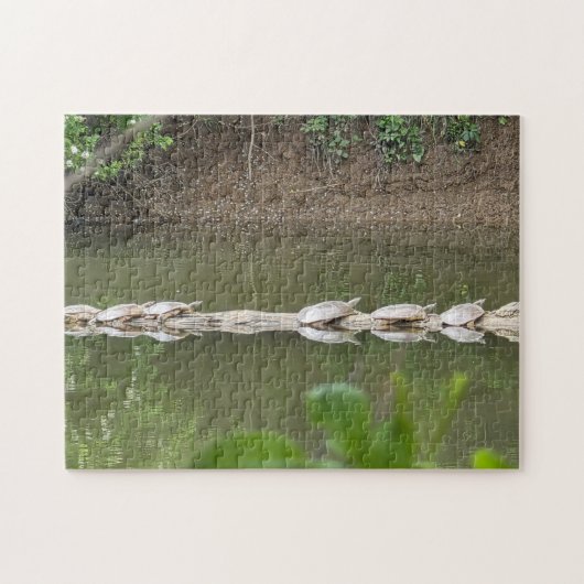 Puzzle de tortues alignées (Horizontal)
