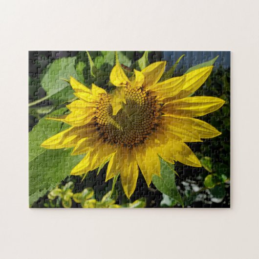 Puzzle de tournesol (Horizontal)