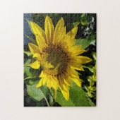 Puzzle de tournesol (Vertical)
