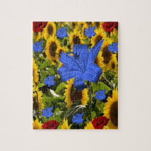 Puzzle de tournesol
