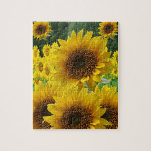 Puzzle de tournesol