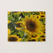 Puzzle de tournesol (Horizontal)