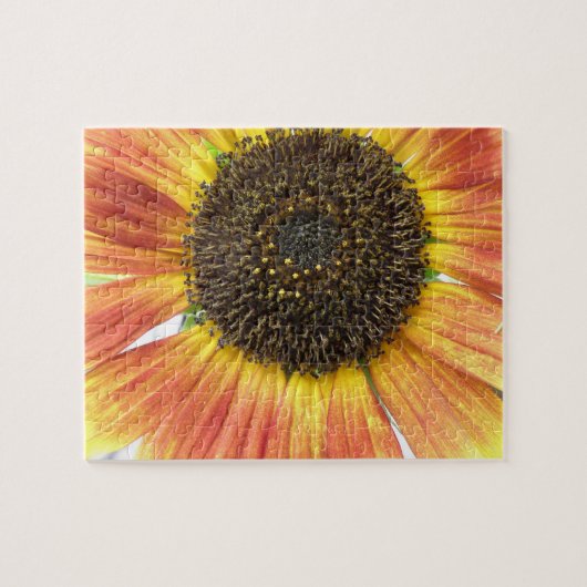 Puzzle de tournesol orange (Horizontal)