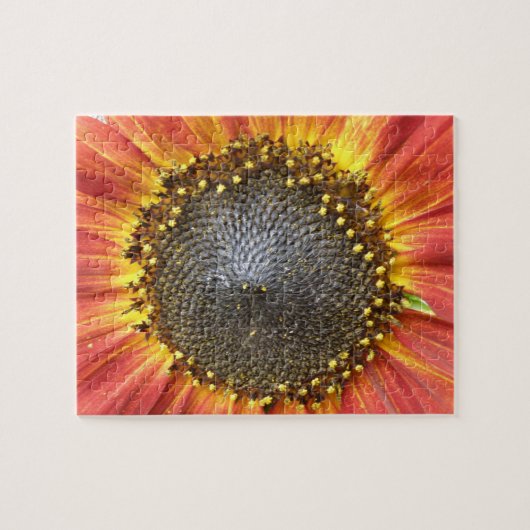 Puzzle de tournesol rouge et jaune (Horizontal)
