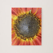 Puzzle de tournesol rouge et jaune (Vertical)
