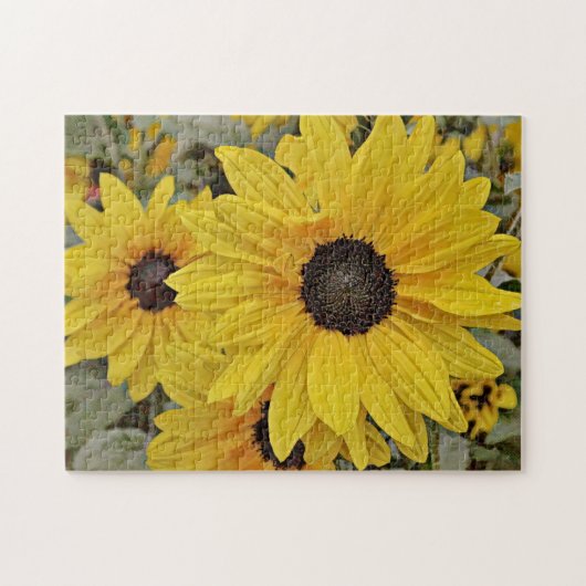 Puzzle de tournesols jaunes (Horizontal)