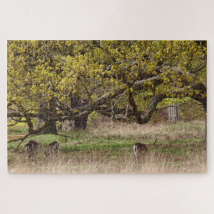Puzzle de Treés et de Cerfs