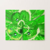 Puzzle de trèfle Dew Drops Fresh Green Morning (Horizontal)