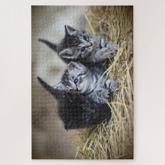 puzzle de trois chatons (Vertical)