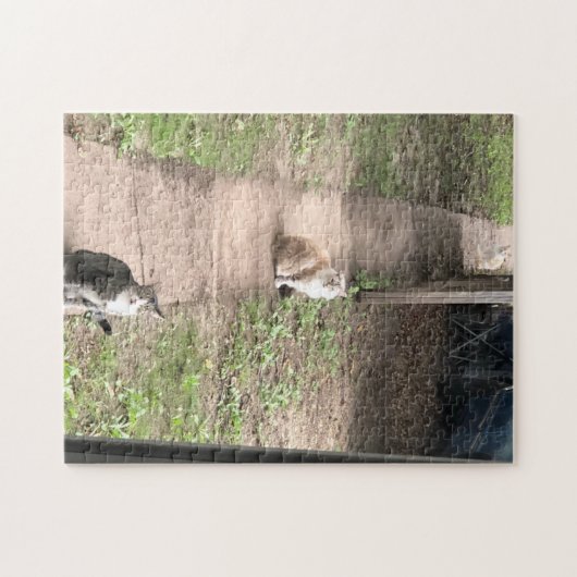 Puzzle de trois chats (Horizontal)