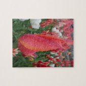 Puzzle de tulipes (Horizontal)