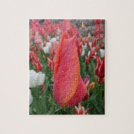 Puzzle de tulipes (Vertical)