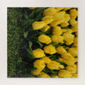 Puzzle de Tulipes Jaunes (Horizontal)