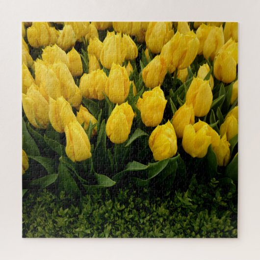 Puzzle de Tulipes Jaunes (Vertical)