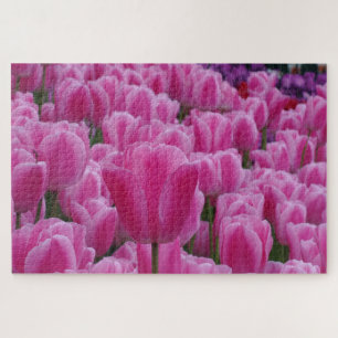 Puzzle de tulipes roses