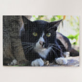 puzzle de tuxedo (Horizontal)