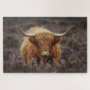 Puzzle de vache des Highlands