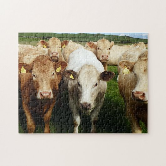 Puzzle de vaches Brown (Horizontal)