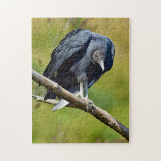 Puzzle de vautour noir pour adultes