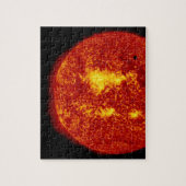 Puzzle de Vénus (Vertical)