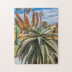 Puzzle de Vera d'aloès