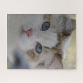 Puzzle de visage de chat (Horizontal)