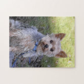 Puzzle de Yorkie (Horizontal)