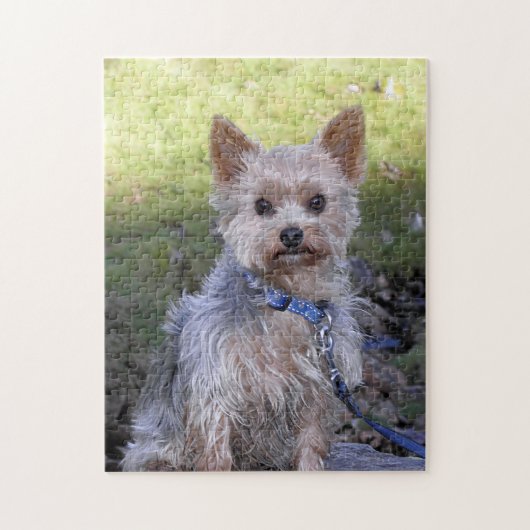 Puzzle de Yorkie (Vertical)