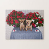 Puzzle de Yorkshire Terrier (Horizontal)