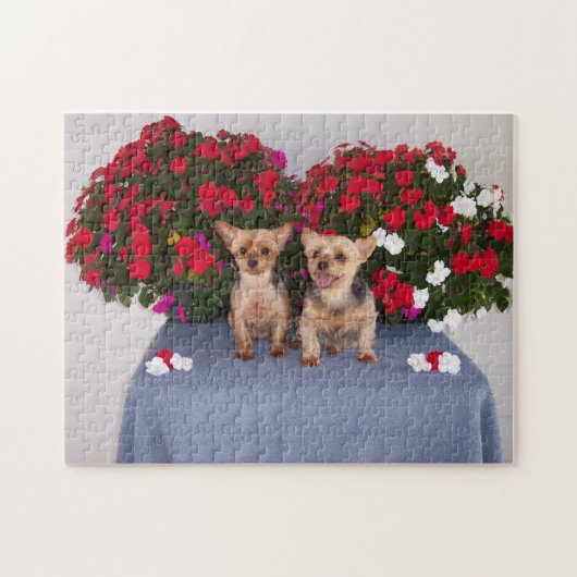 Puzzle de Yorkshire Terrier (Horizontal)