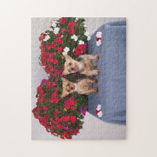 Puzzle de Yorkshire Terrier (Vertical)