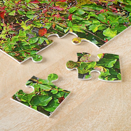 Puzzle Deacon Grave House (Côté)