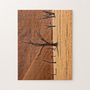 Puzzle Dead Vlei, Namibie